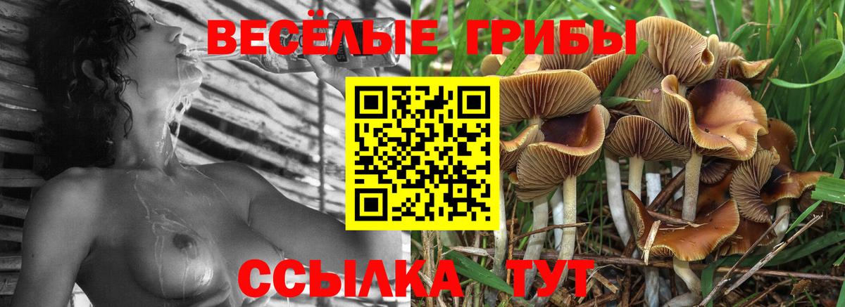 Трёхгорный  Псилоцибиновые грибы прущие грибы  Вход с VPN 